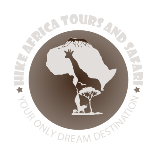 Hike Africa Logo footer (1)