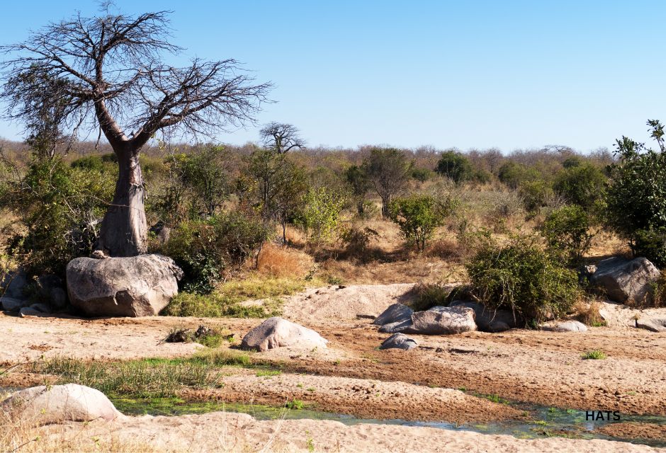 African landscape in Ruaha National Park,Southern Tanzania