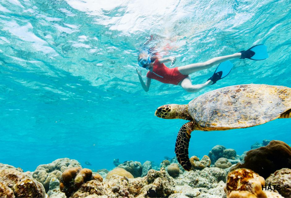 Girl Snorkeling with Sea Turtle