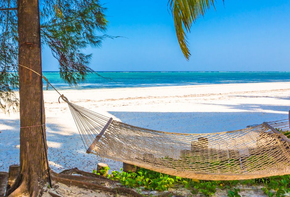 Hammock near beach in Zanzibar, Tanzania.