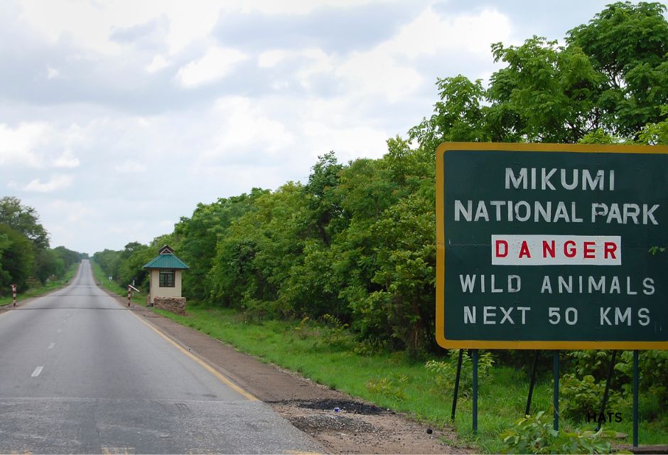 Mikumi National Park - Tanzania