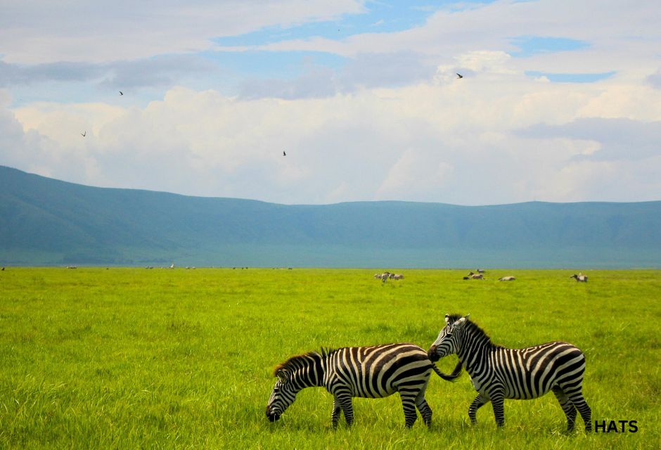 Ngorongoro Safari