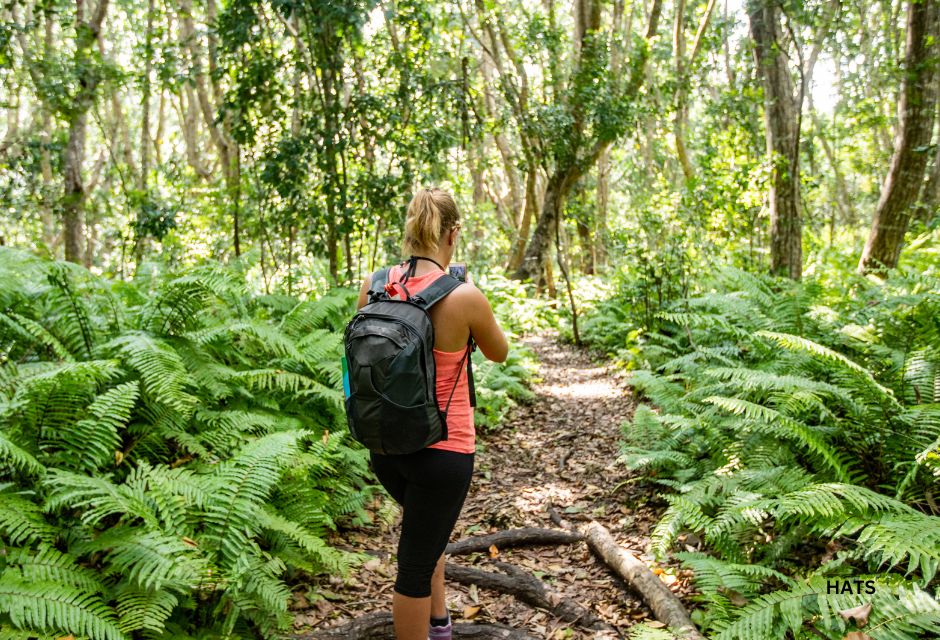 Woman Exploring Jozani Forest on Zanzibar