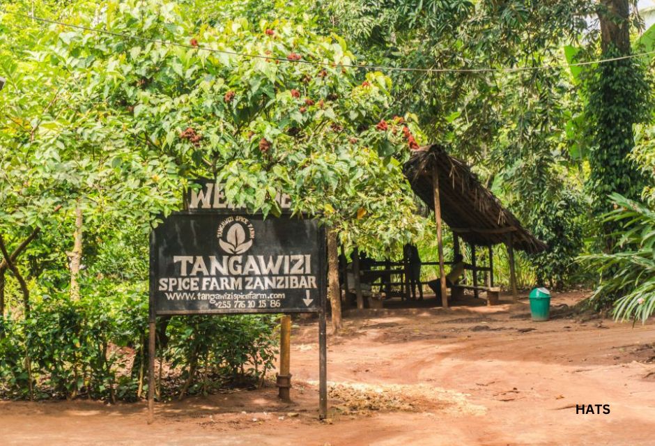 Zanzibar spice farms