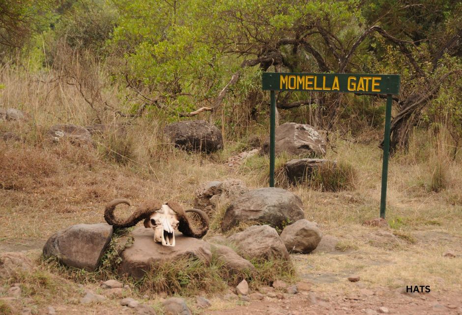 Momella gate