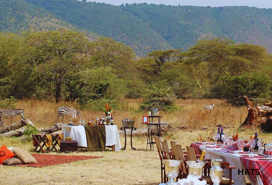 Lunch in Ngorongoro Crater