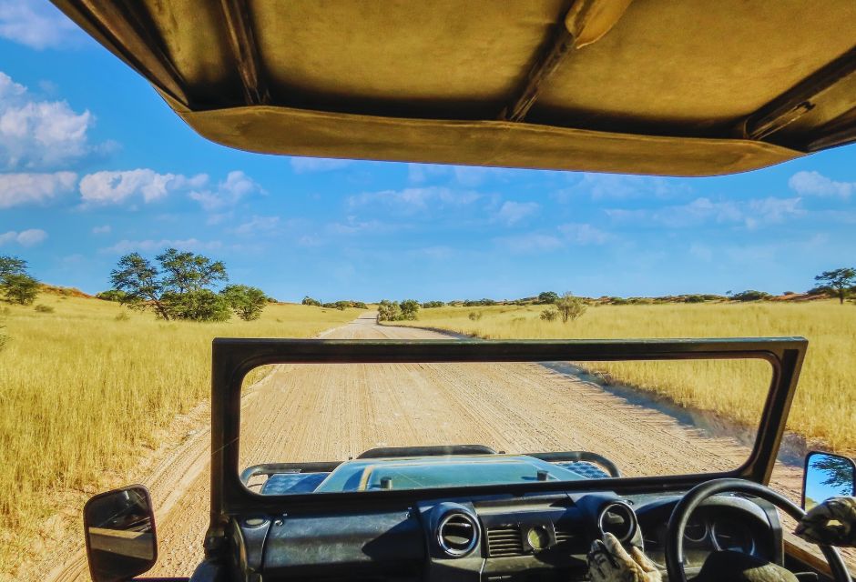 Safari vehicle