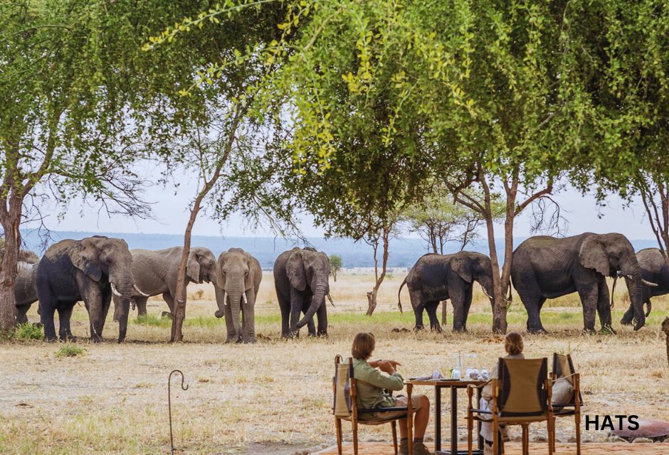 lunch in Tarangire