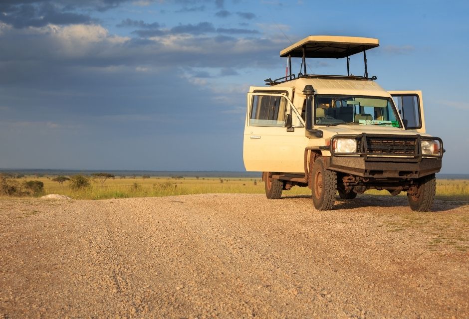 Safari vehicle